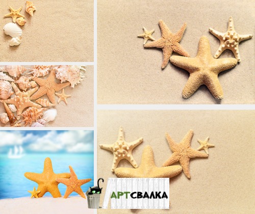 Морские звезды, море, песок | Sea stars, sea, sand